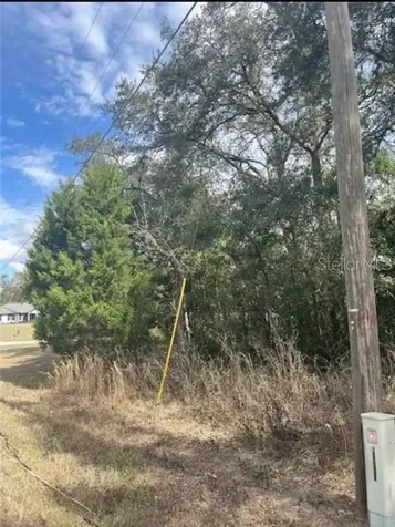 Tbd 94th Avenue Belleview FL 34420