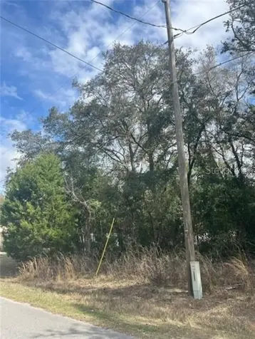Tbd 94th Avenue Belleview FL 34420