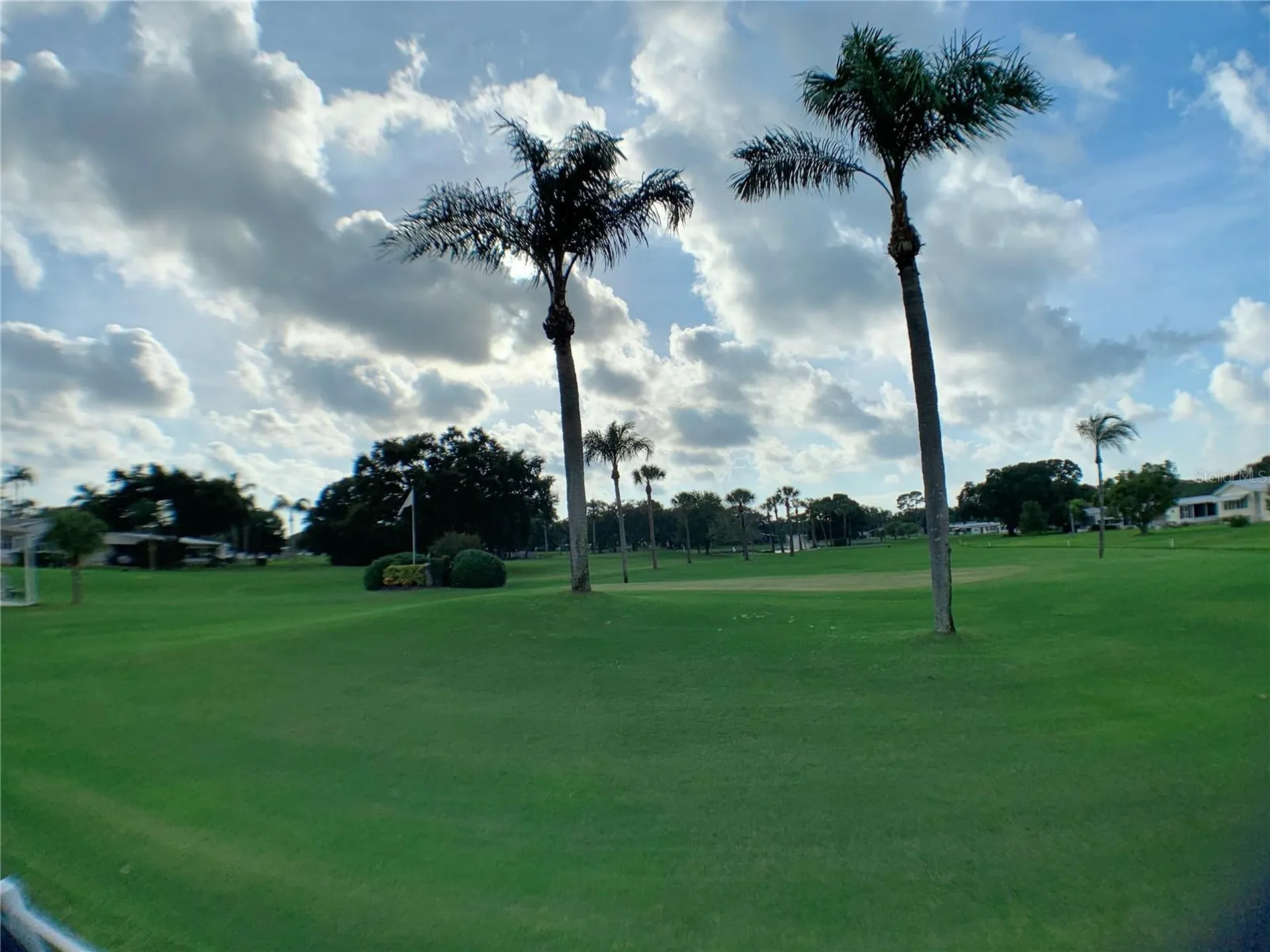 1100 Belcher Road S Largo FL 33771