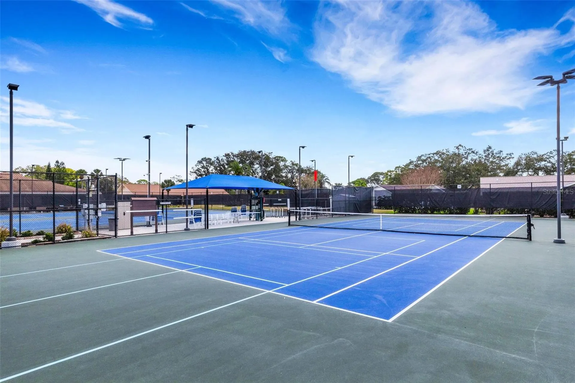 3400 Rugby Court Palm Harbor FL 34684