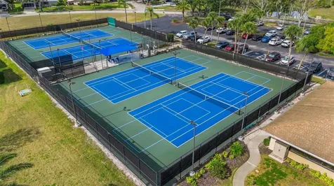 3400 Rugby Court Palm Harbor FL 34684