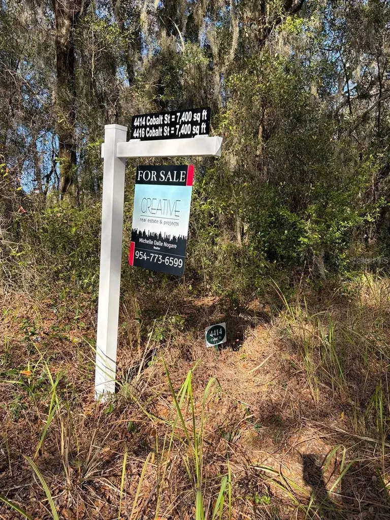 4416 Cobalt Street Palatka FL 32177