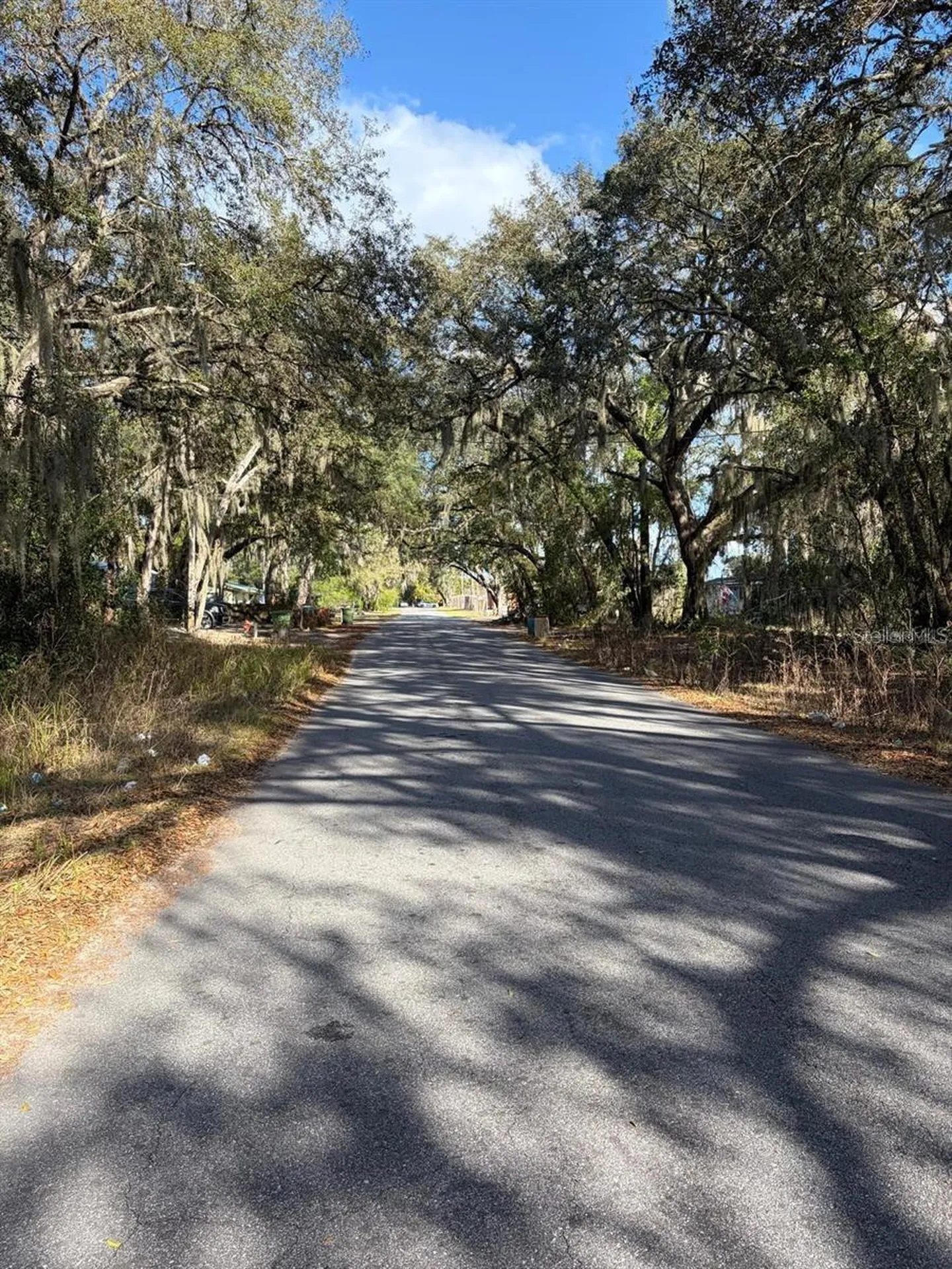 4416 Cobalt Street Palatka FL 32177