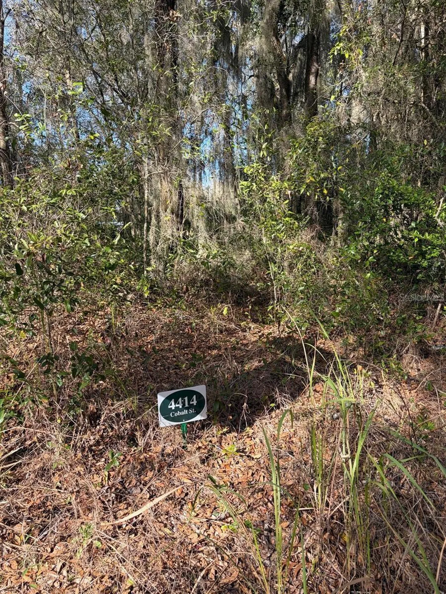 4416 Cobalt Street Palatka FL 32177
