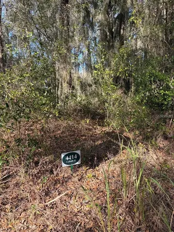 4416 Cobalt Street Palatka FL 32177