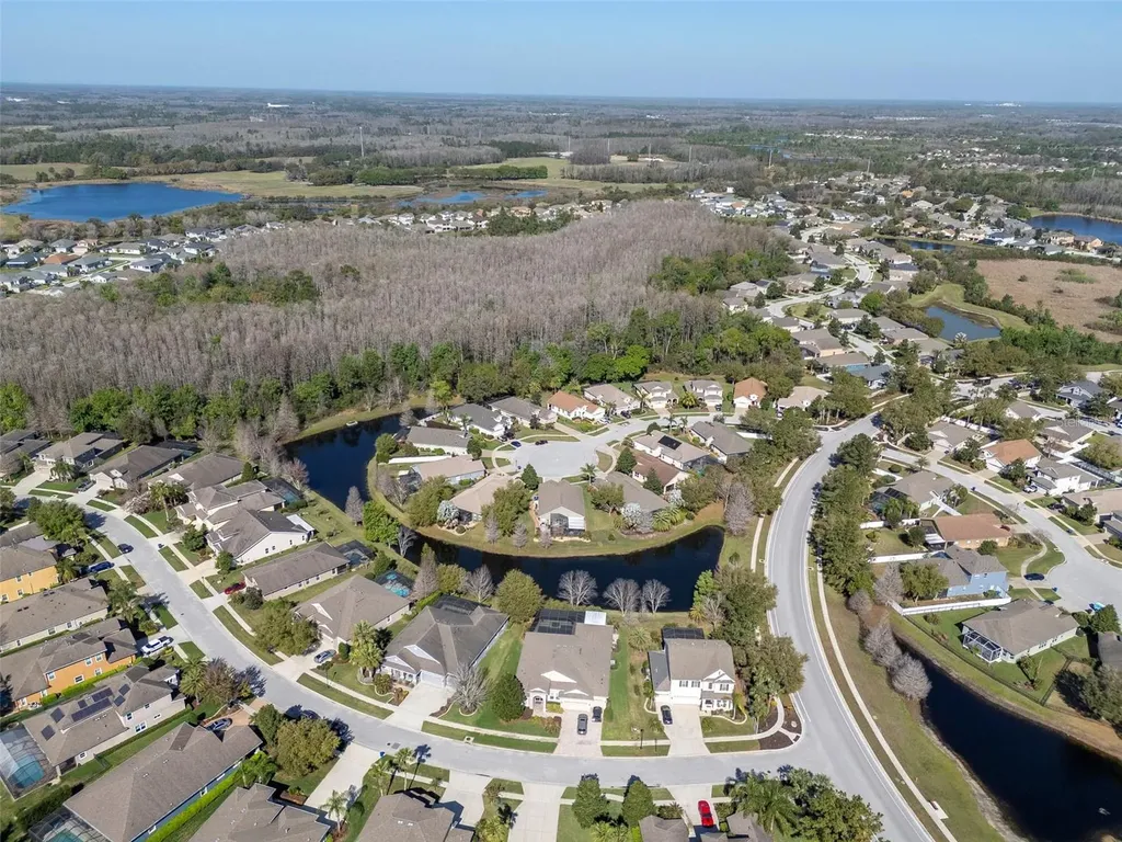 19419 Autumn Chase Court Land O Lakes FL 34638
