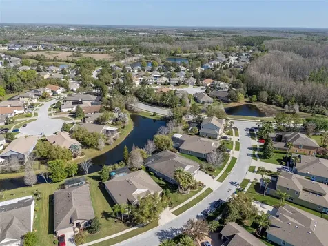19419 Autumn Chase Court Land O Lakes FL 34638