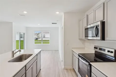 5301 Greenheart Avenue Mount Dora FL 32757
