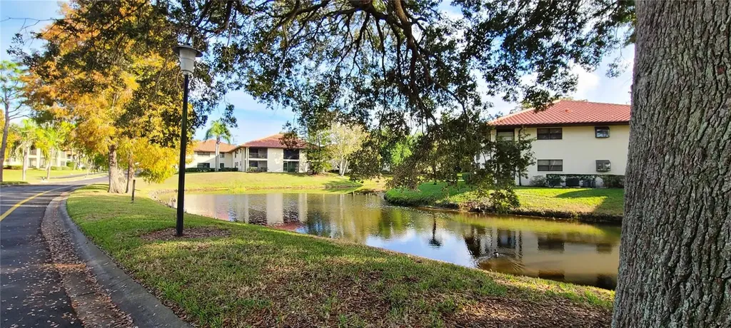 2009 Hammock Pine Boulevard Clearwater FL 33761