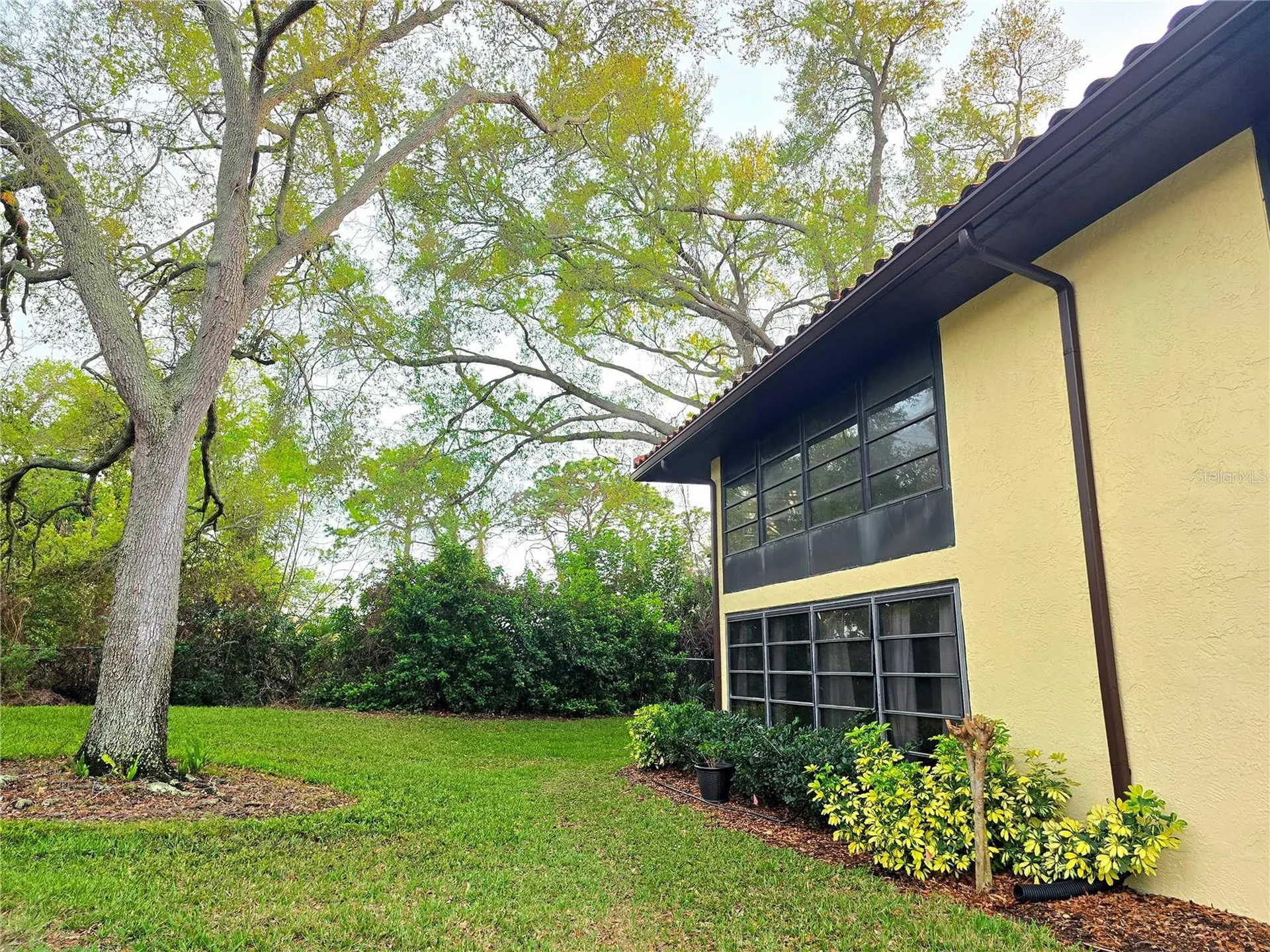 2009 Hammock Pine Boulevard Clearwater FL 33761