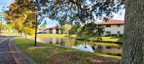 2009 Hammock Pine Boulevard Clearwater FL 33761