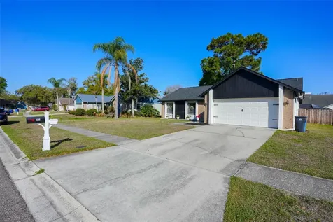 4136 Spring Way Circle Valrico FL 33596