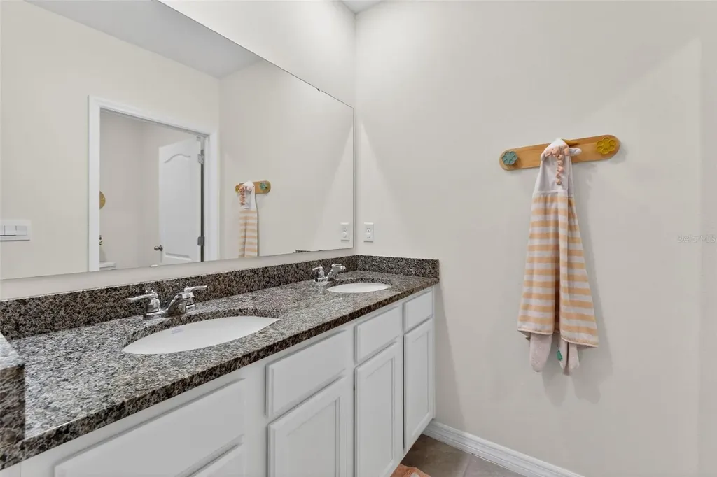 4893 Panga Avenue Mount Dora FL 32757