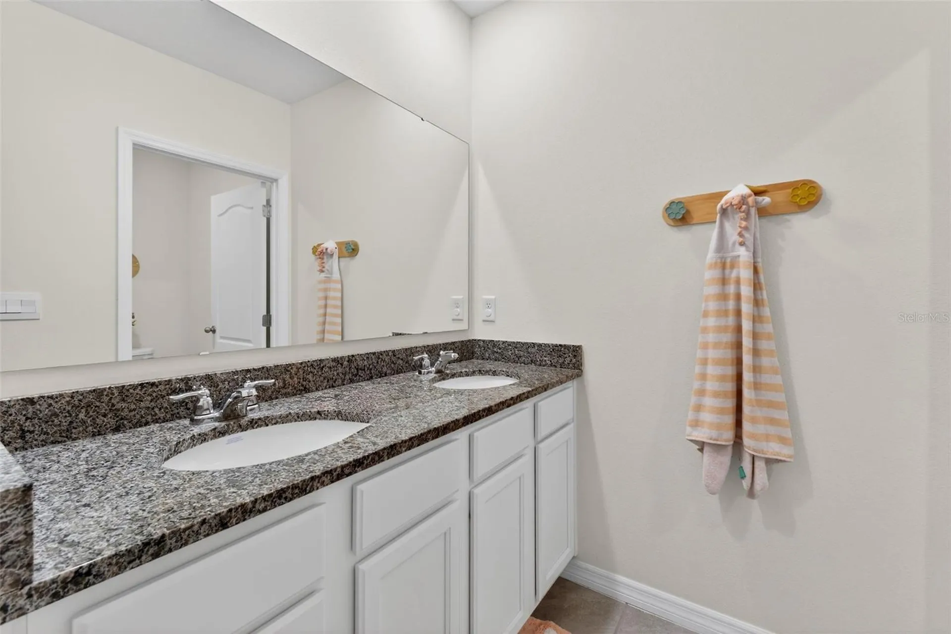 4893 Panga Avenue Mount Dora FL 32757