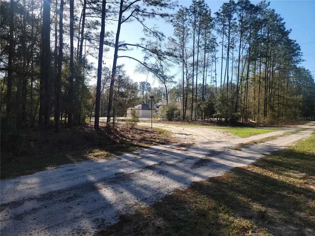 00 SW 133rd Court Ocala FL 34481