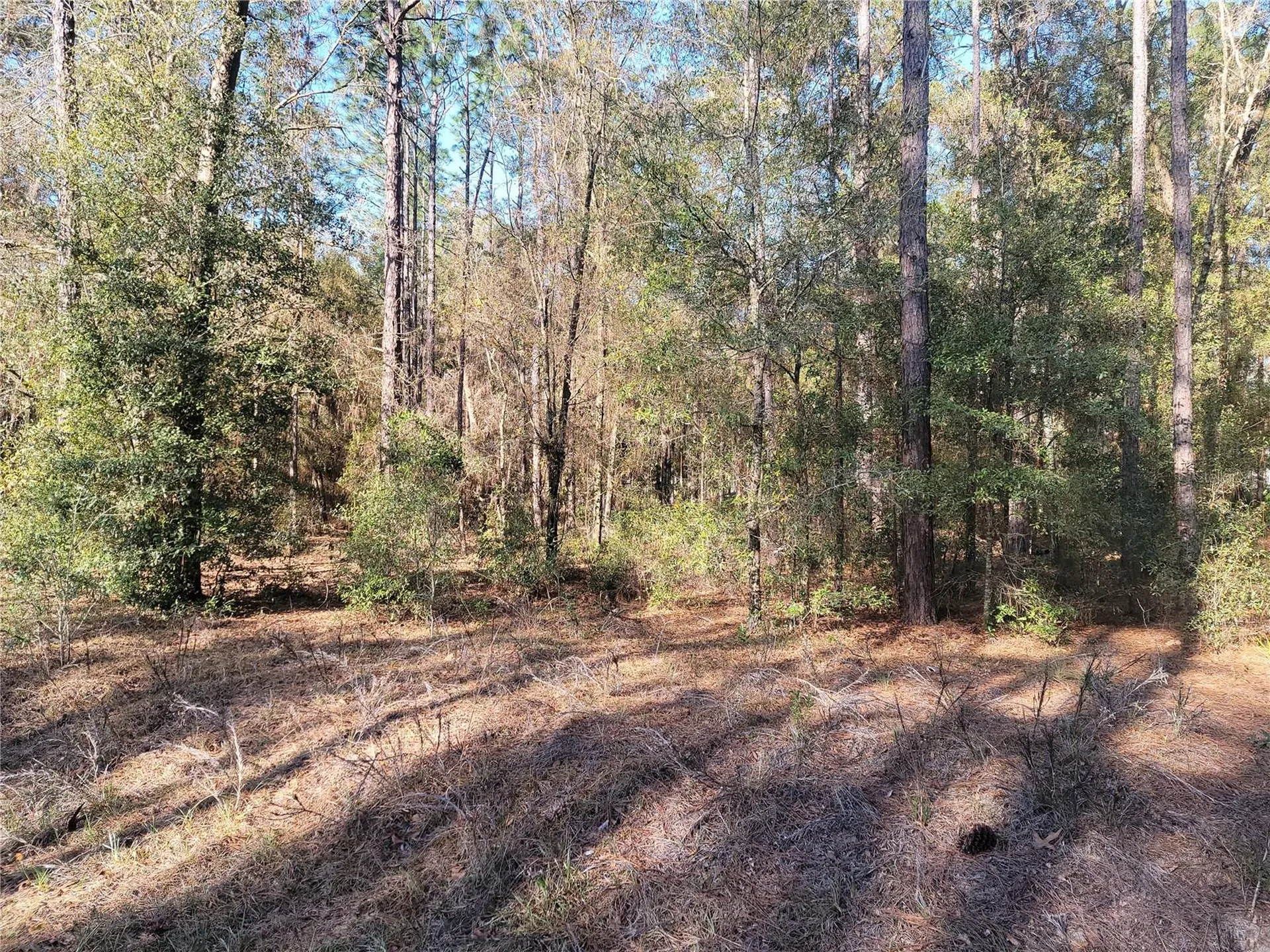 00 SW 133rd Court Ocala FL 34481