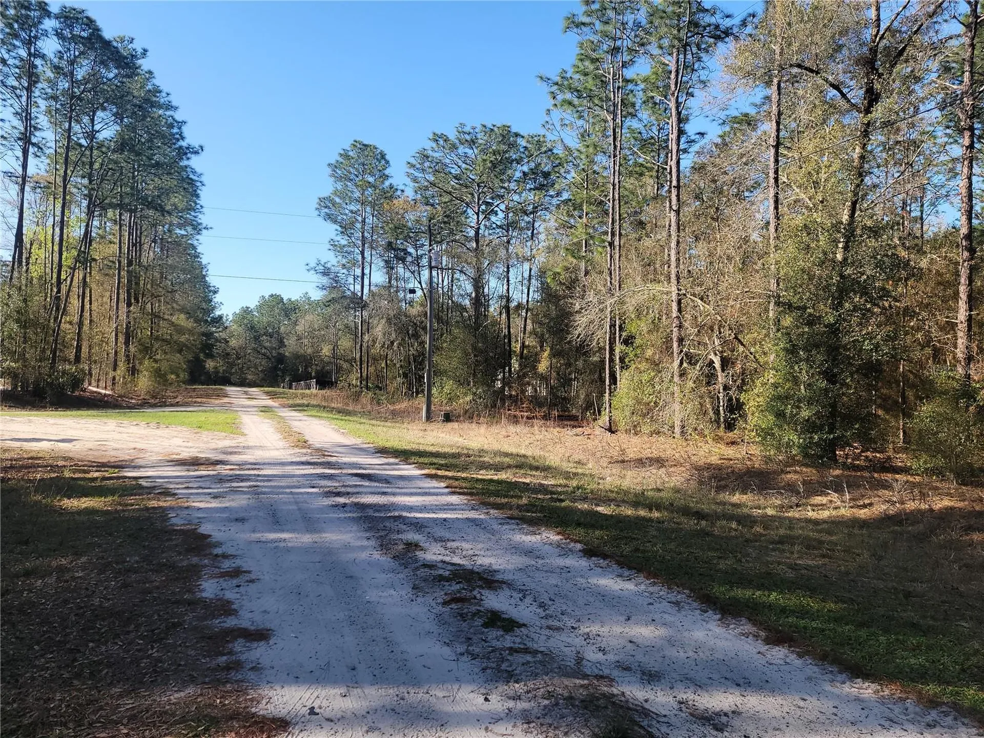 00 SW 133rd Court Ocala FL 34481