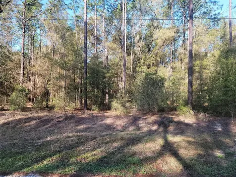00 SW 133rd Court Ocala FL 34481