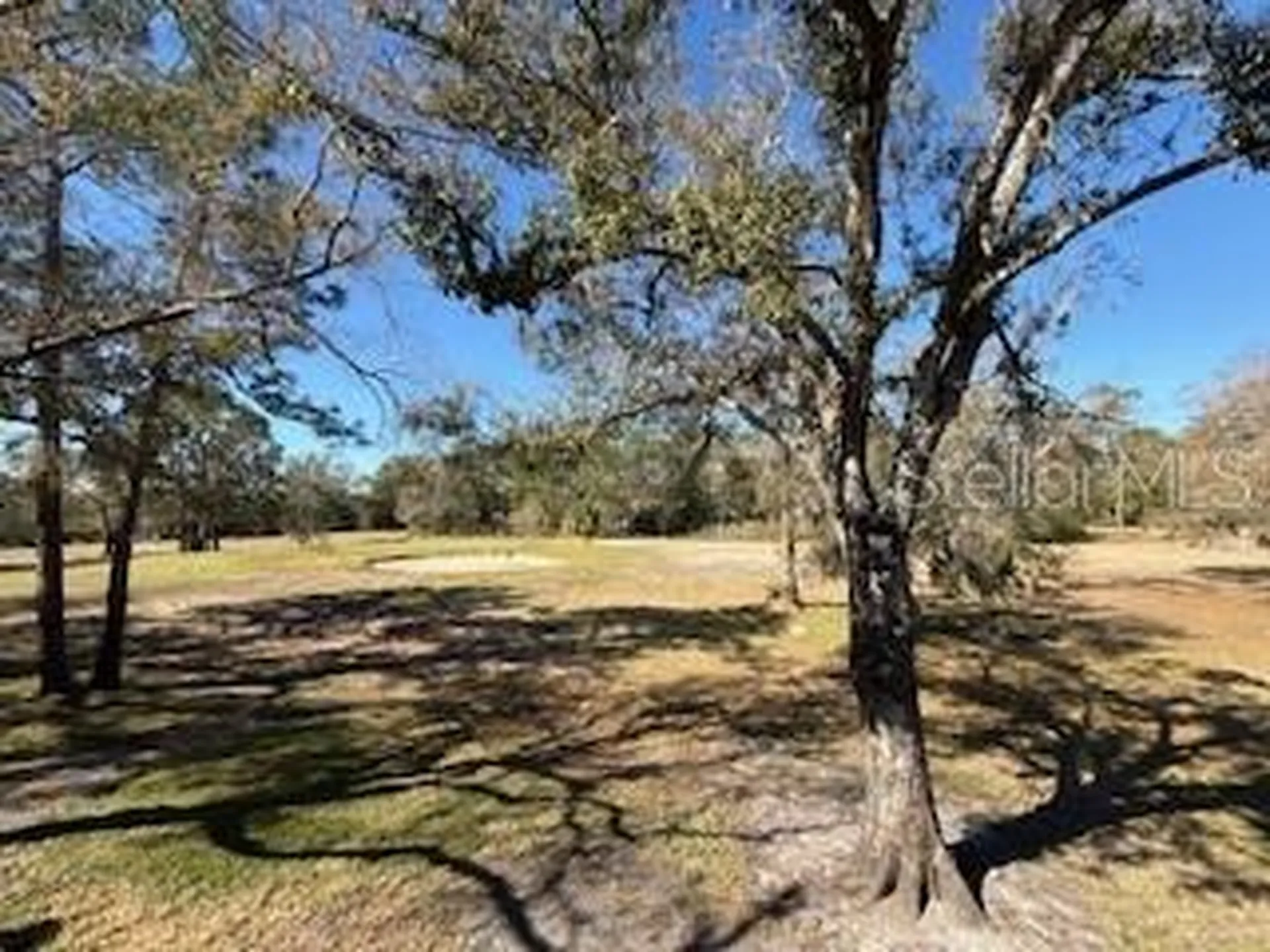 3505 Tarpon Woods Boulevard Palm Harbor FL 34685