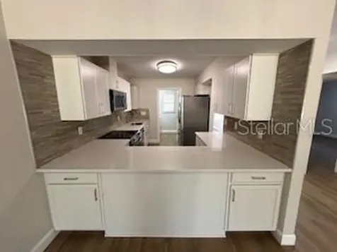 3505 Tarpon Woods Boulevard Palm Harbor FL 34685