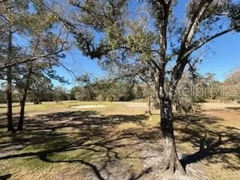 3505 Tarpon Woods Boulevard Palm Harbor FL 34685