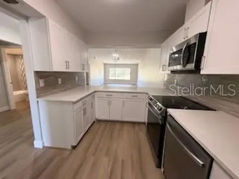 3505 Tarpon Woods Boulevard Palm Harbor FL 34685