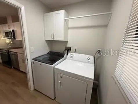 3505 Tarpon Woods Boulevard Palm Harbor FL 34685