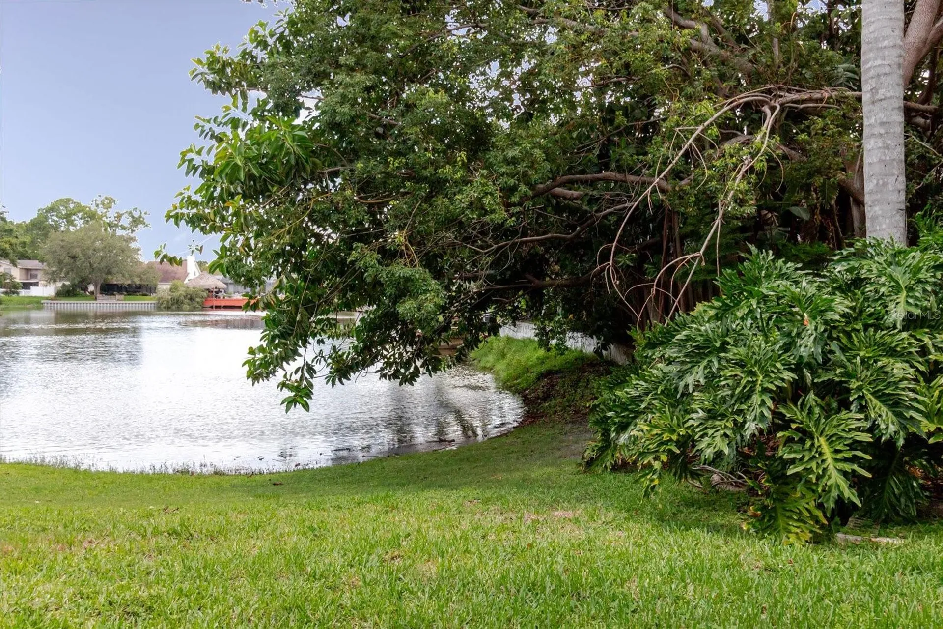 8222 La Serena Drive Tampa FL 33614