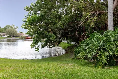 8222 La Serena Drive Tampa FL 33614