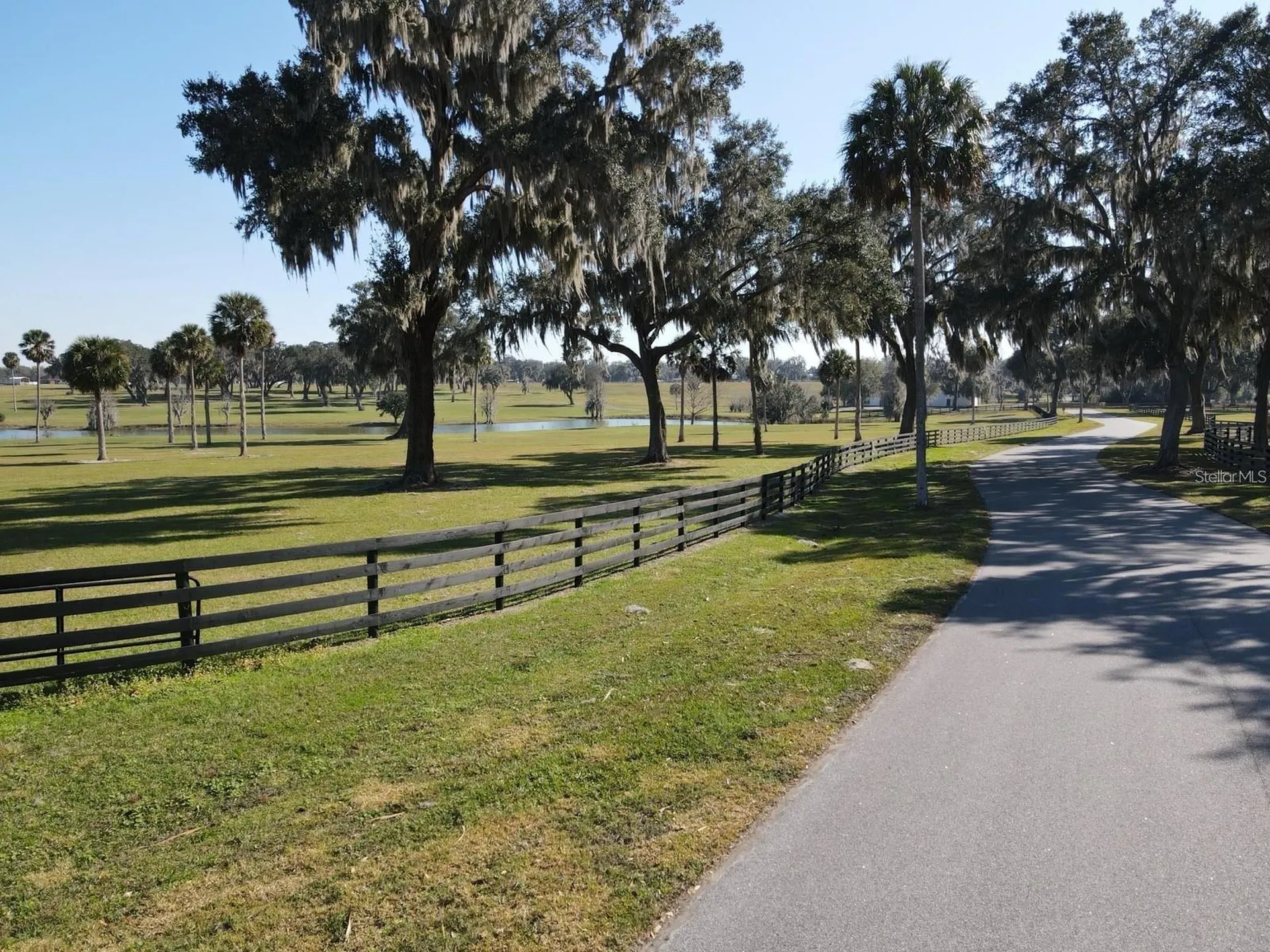 SE 57th Terrace Summerfield FL 34491