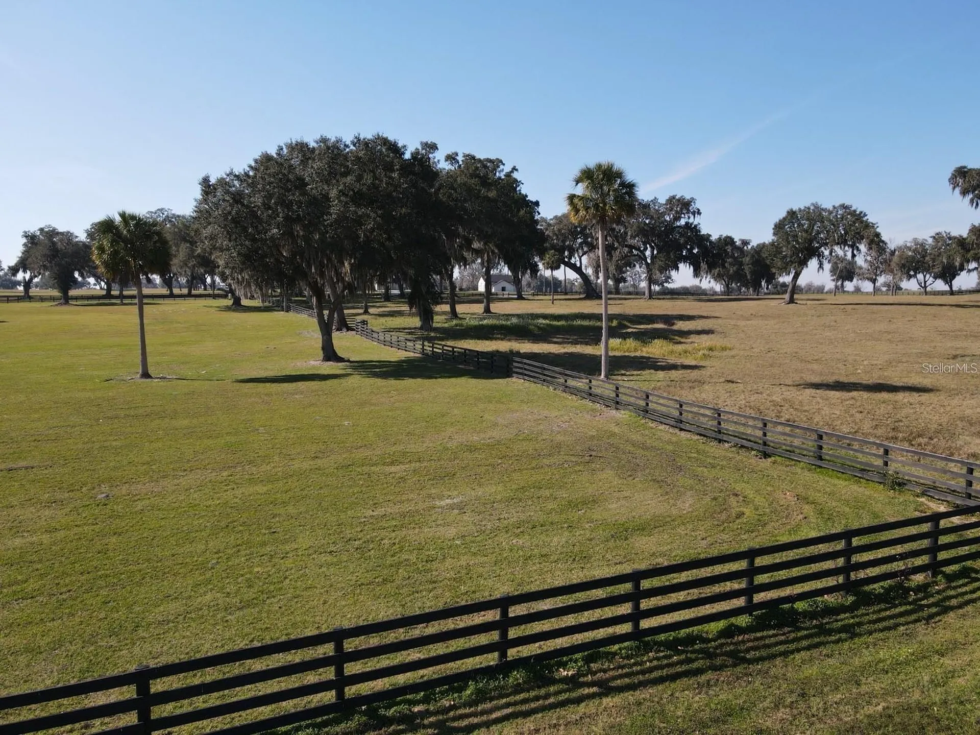SE 57th Terrace Summerfield FL 34491