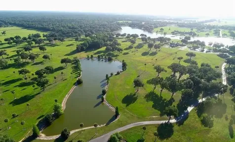 SE 57th Terrace Summerfield FL 34491