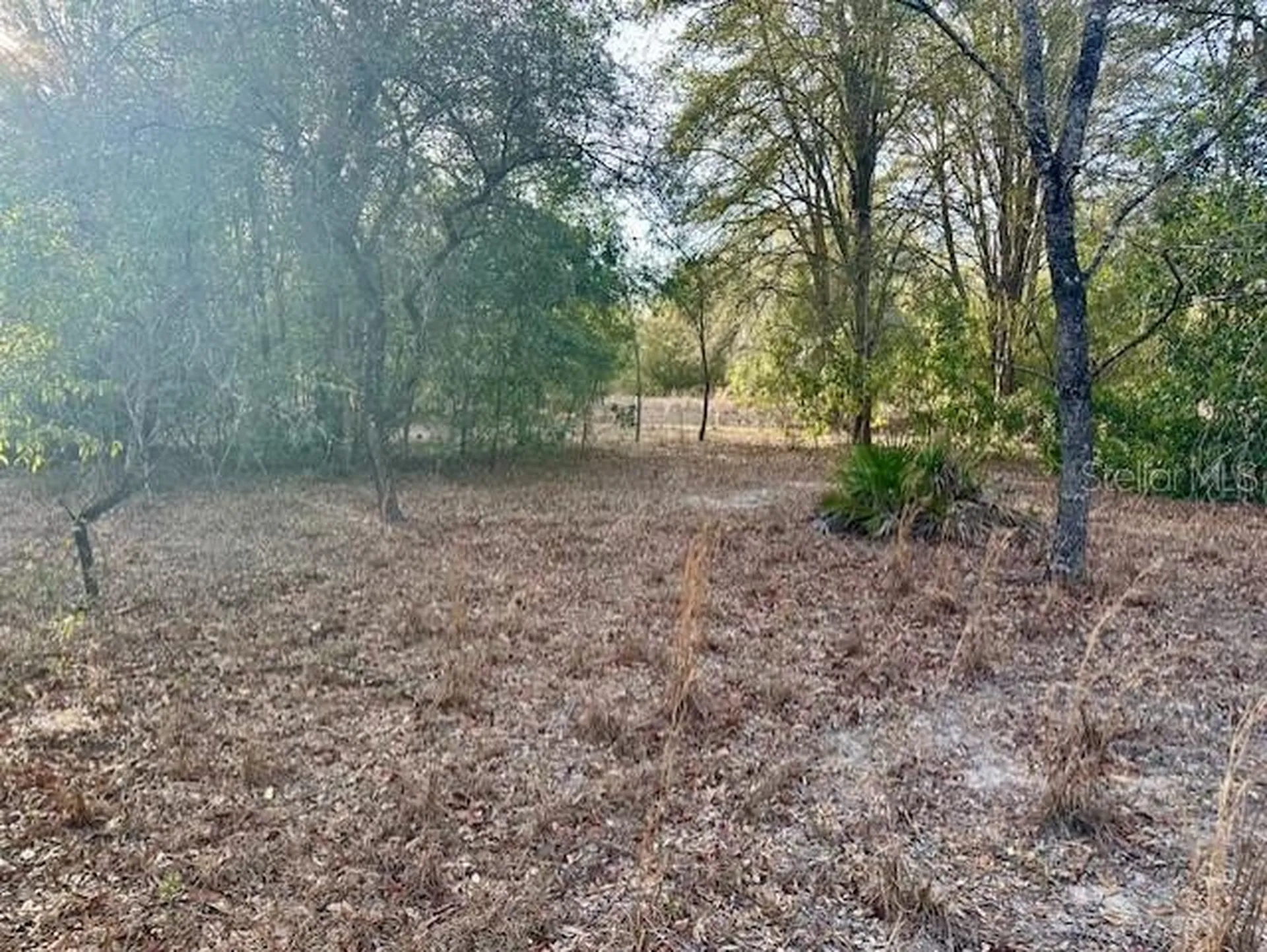NW 5th Avenue Branford FL 32008