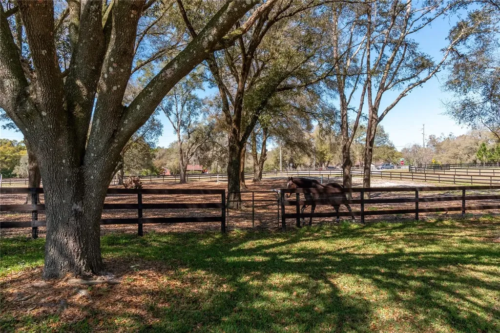 10 Carry Back Road Ocala FL 34482