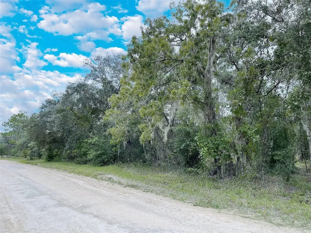Tbd NE 85th Street Bronson FL 32621