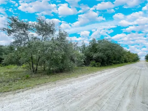 Tbd NE 85th Street Bronson FL 32621