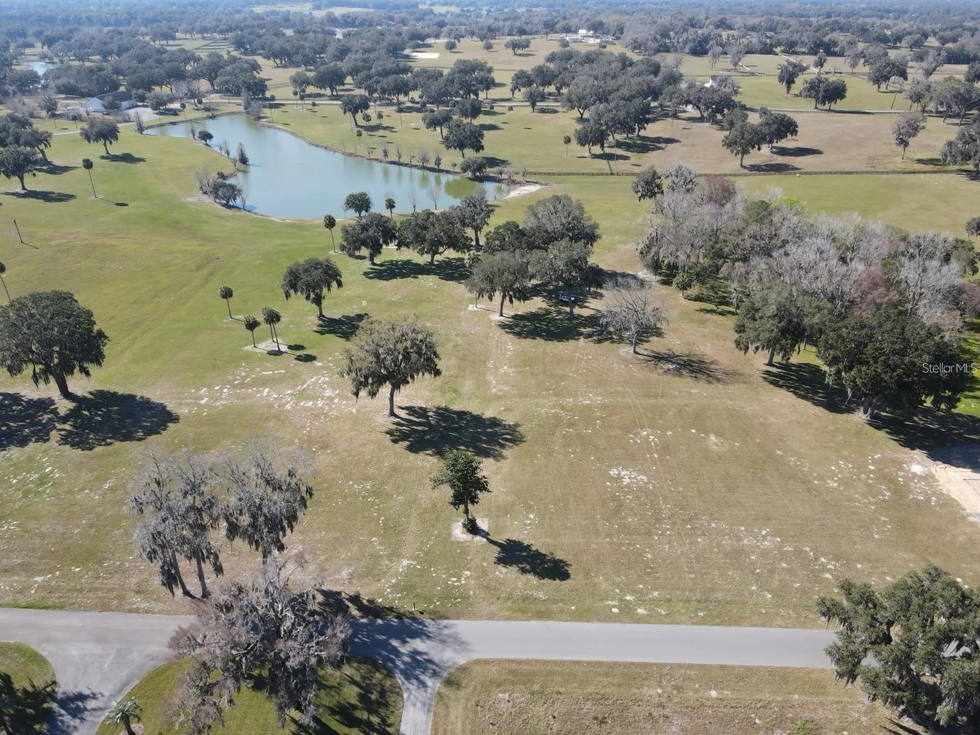 SE 61st Terrace Road Summerfield FL 34491