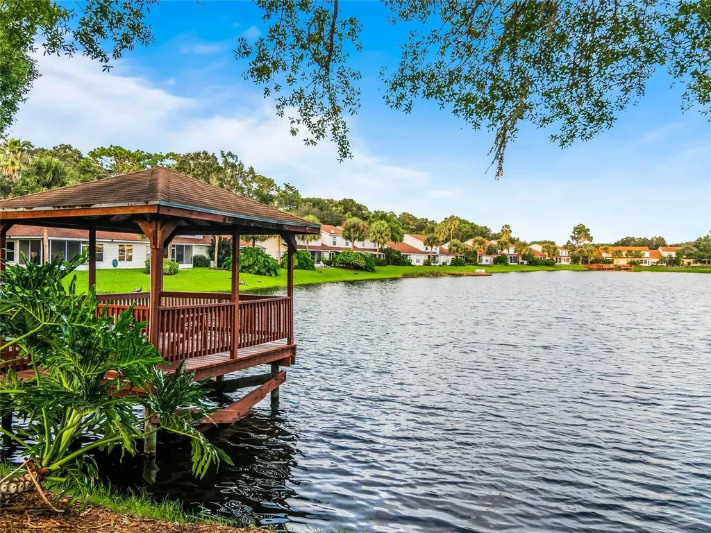 21523 Woodstork Lane Lutz FL 33549