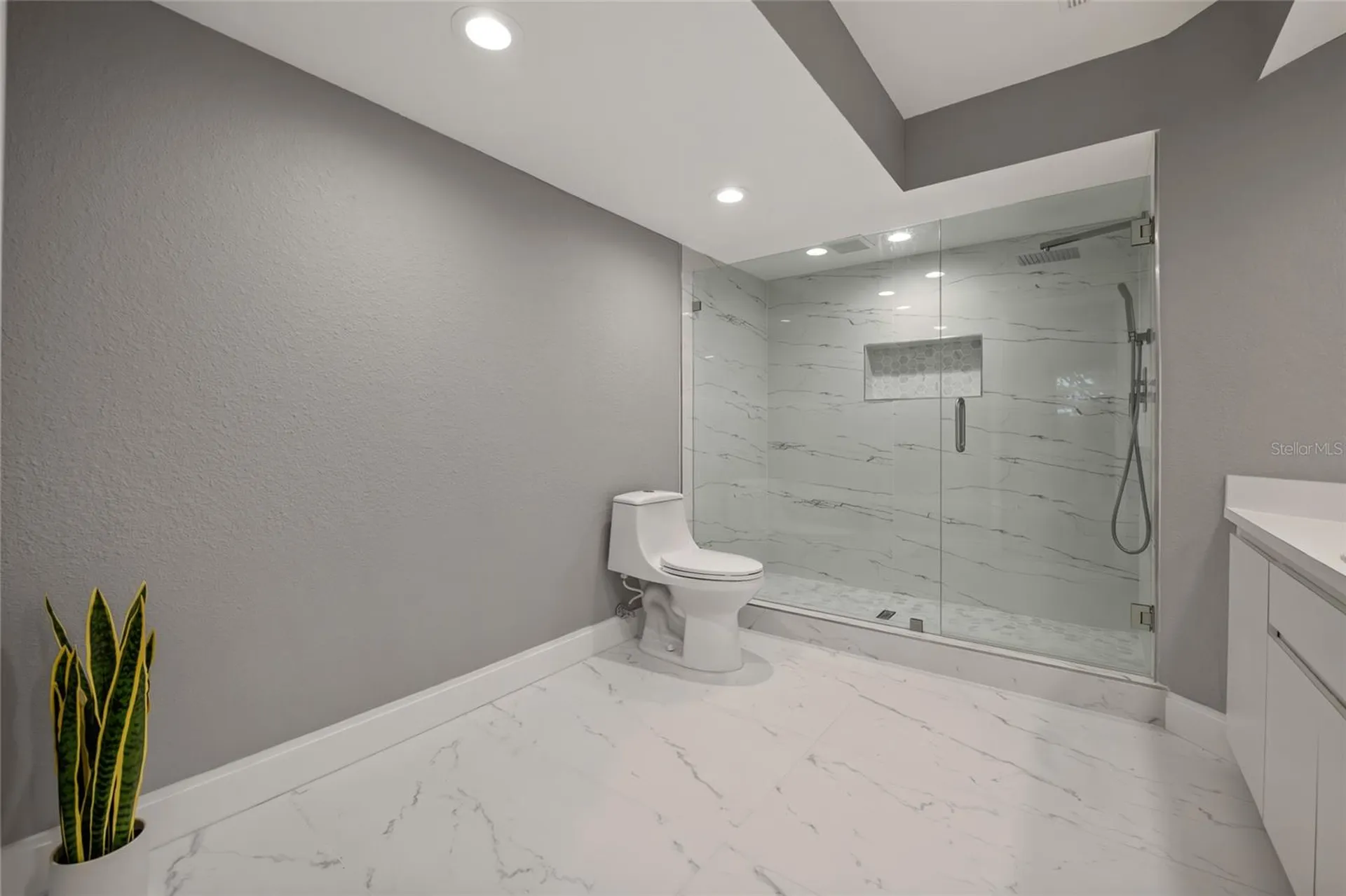 21523 Woodstork Lane Lutz FL 33549