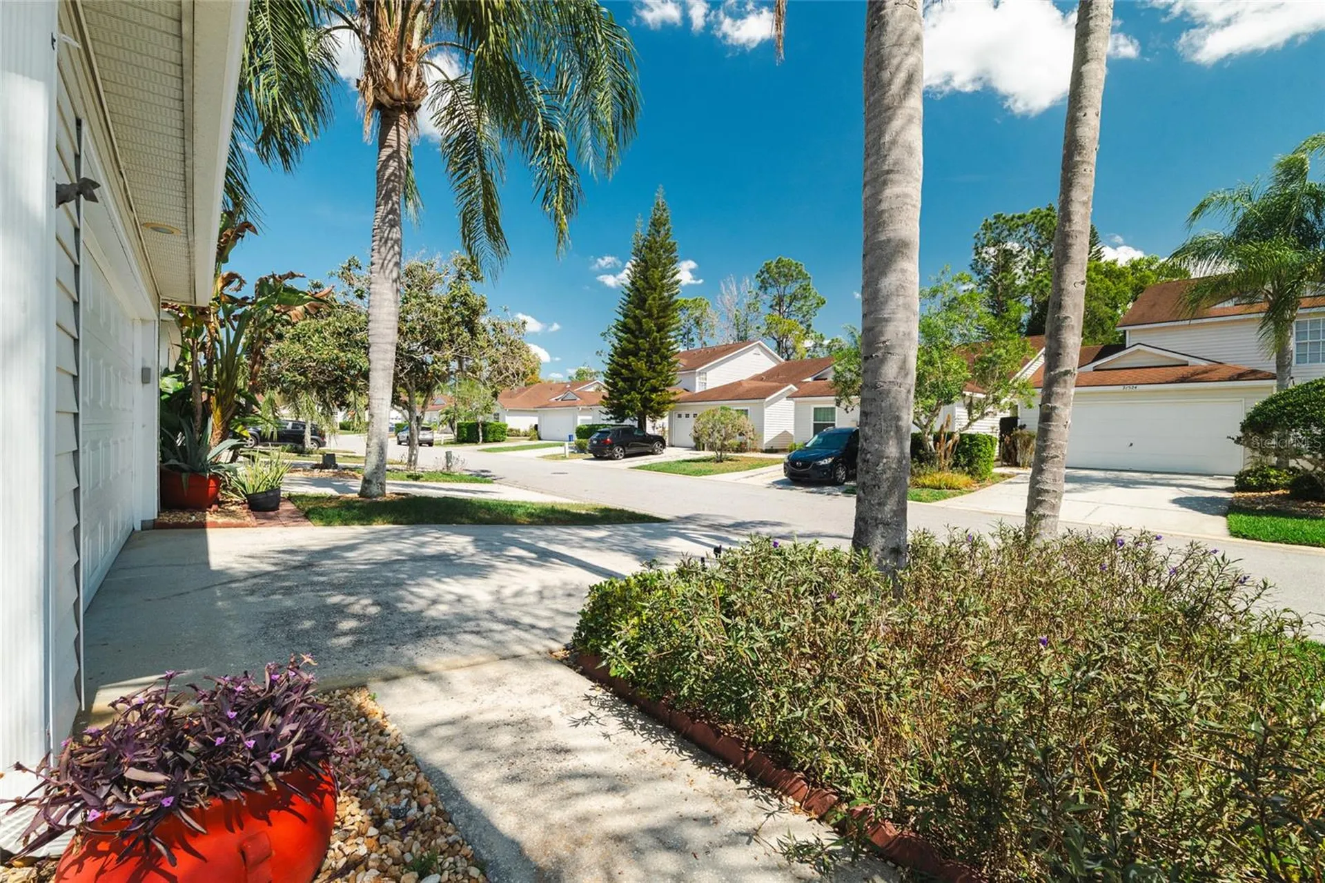 21523 Woodstork Lane Lutz FL 33549