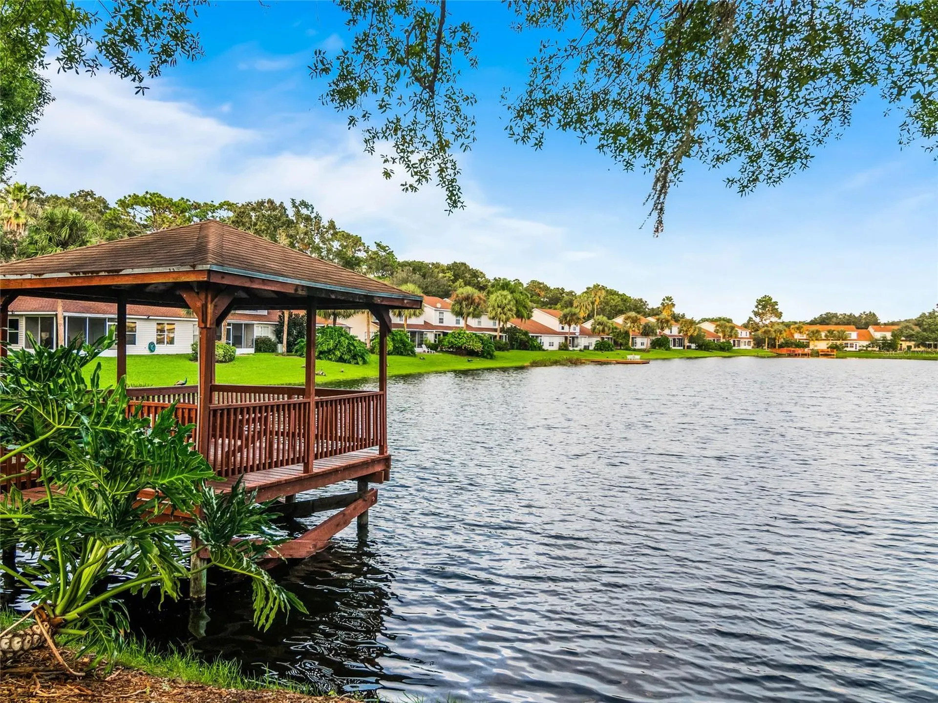 21523 Woodstork Lane Lutz FL 33549
