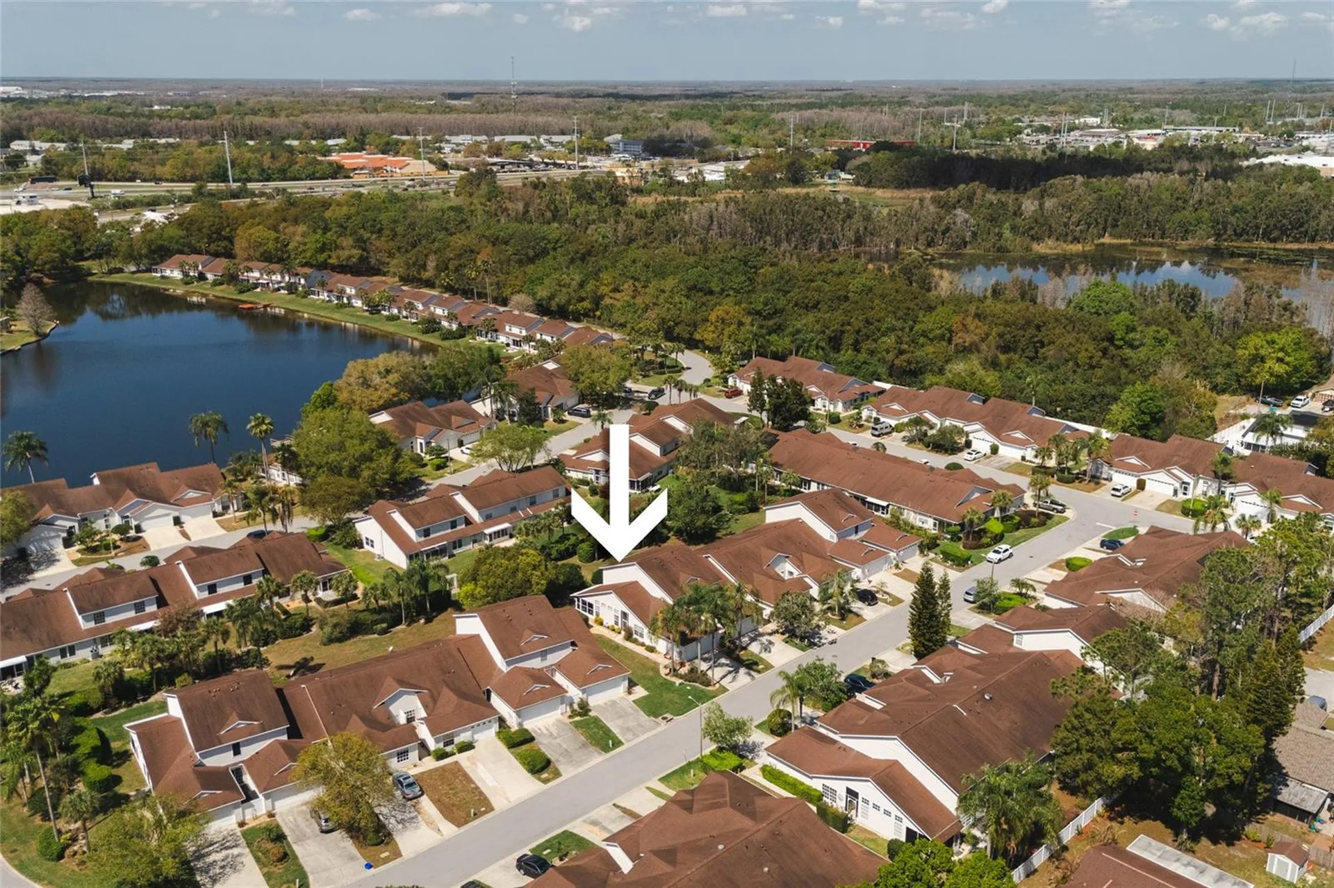 21523 Woodstork Lane Lutz FL 33549