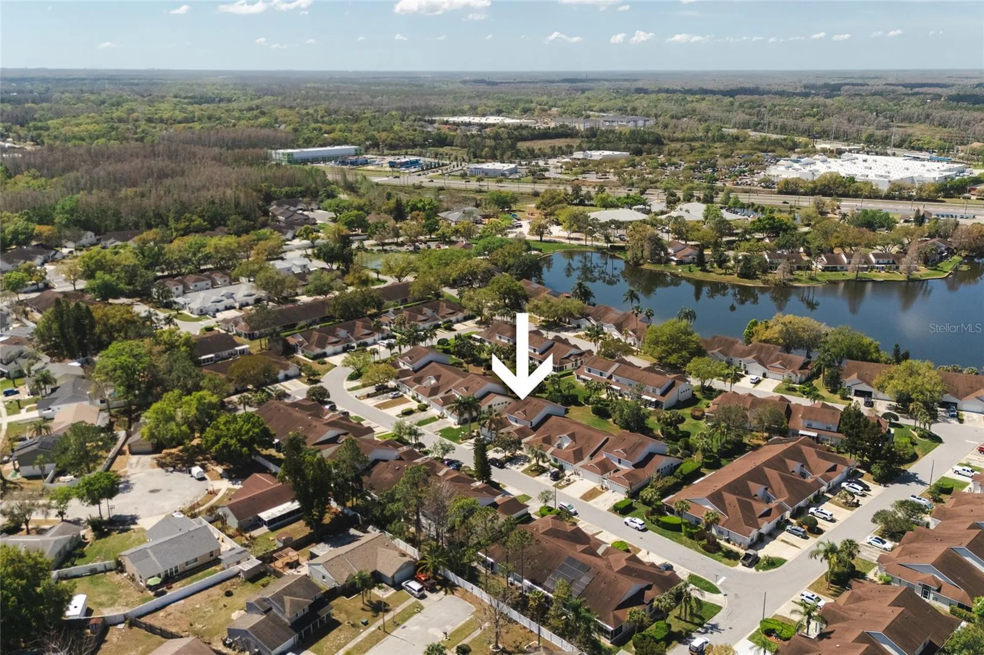 21523 Woodstork Lane Lutz FL 33549