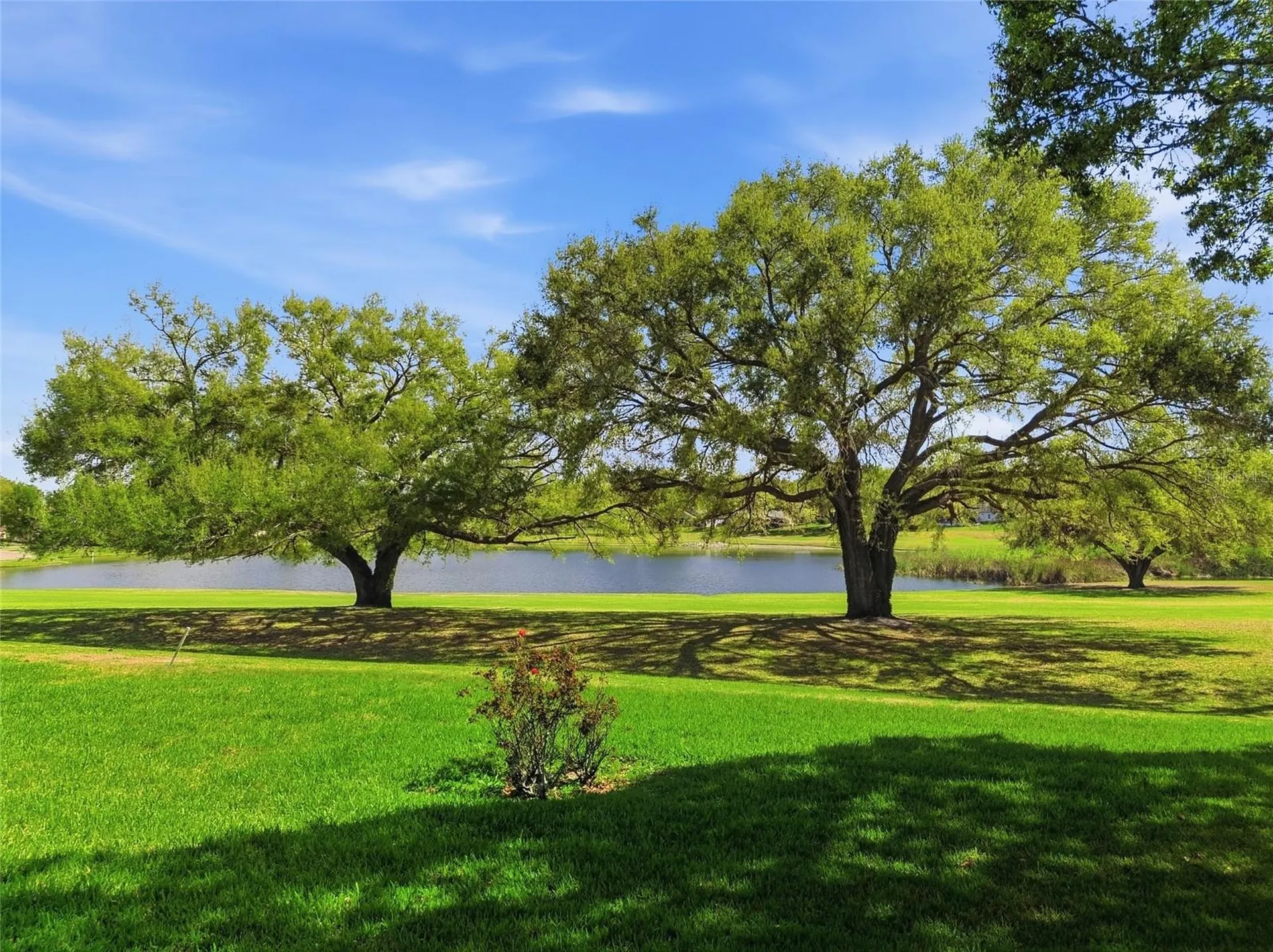 15005 Green Valley Boulevard Clermont FL 34711