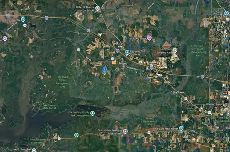 380 Sumpter Ridge Road Midway FL 32343