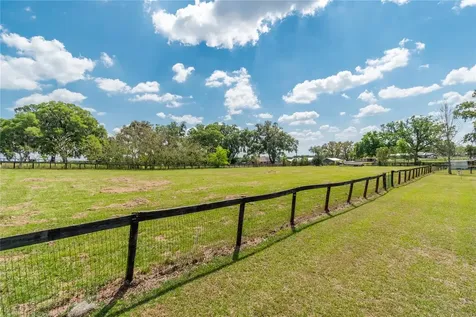 13025 NW Gainesville Road Reddick FL 32686