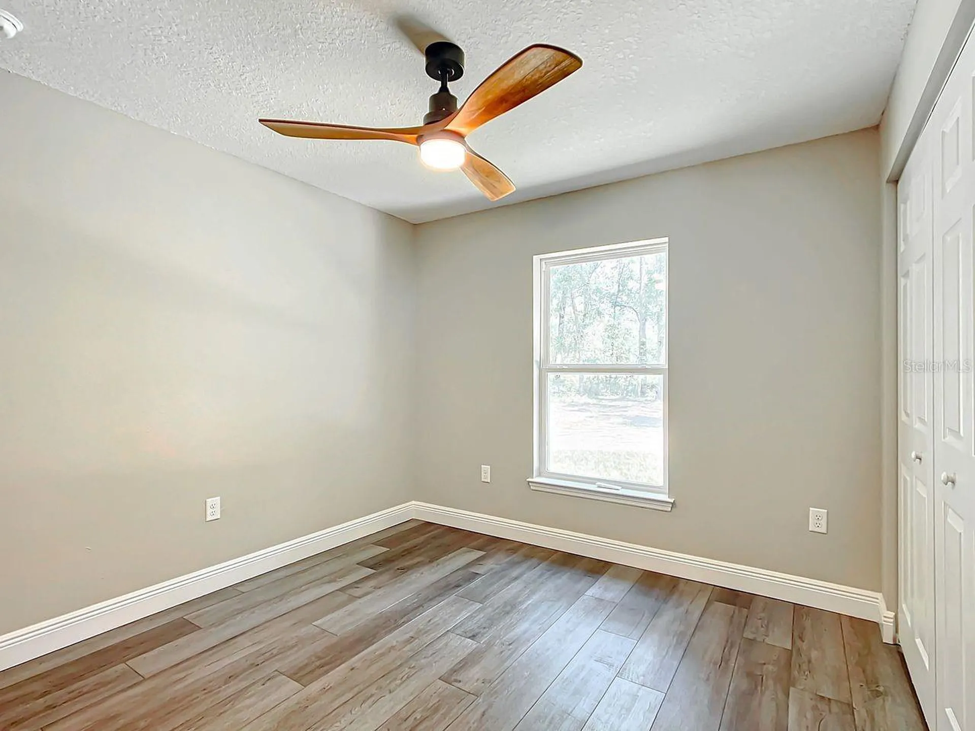 15500? NE 49 Place Williston FL 32696