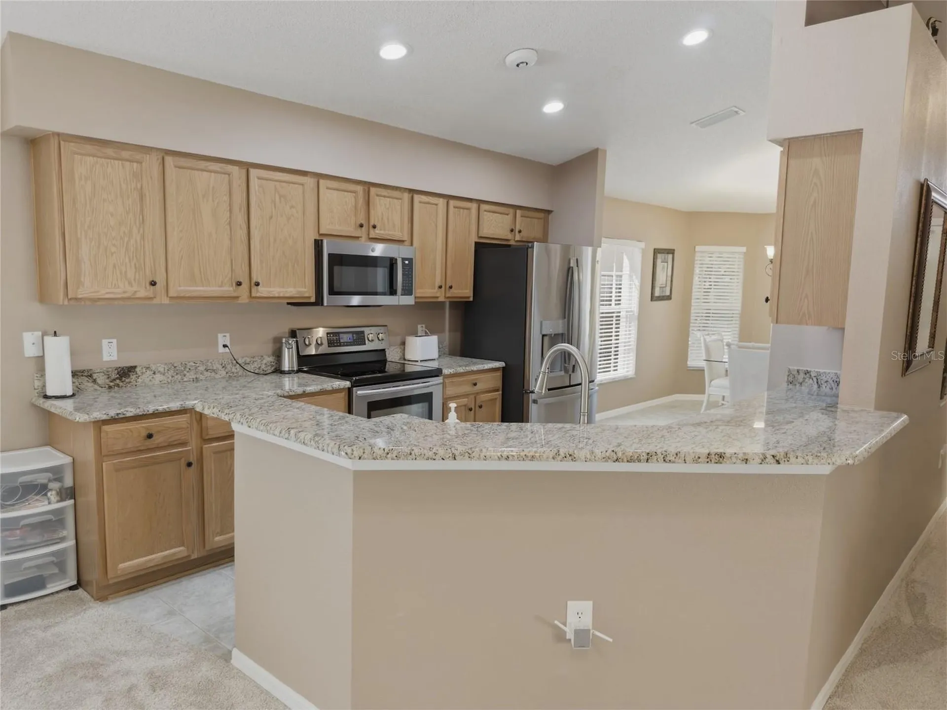 18038 Webster Grove Drive Hudson FL 34667
