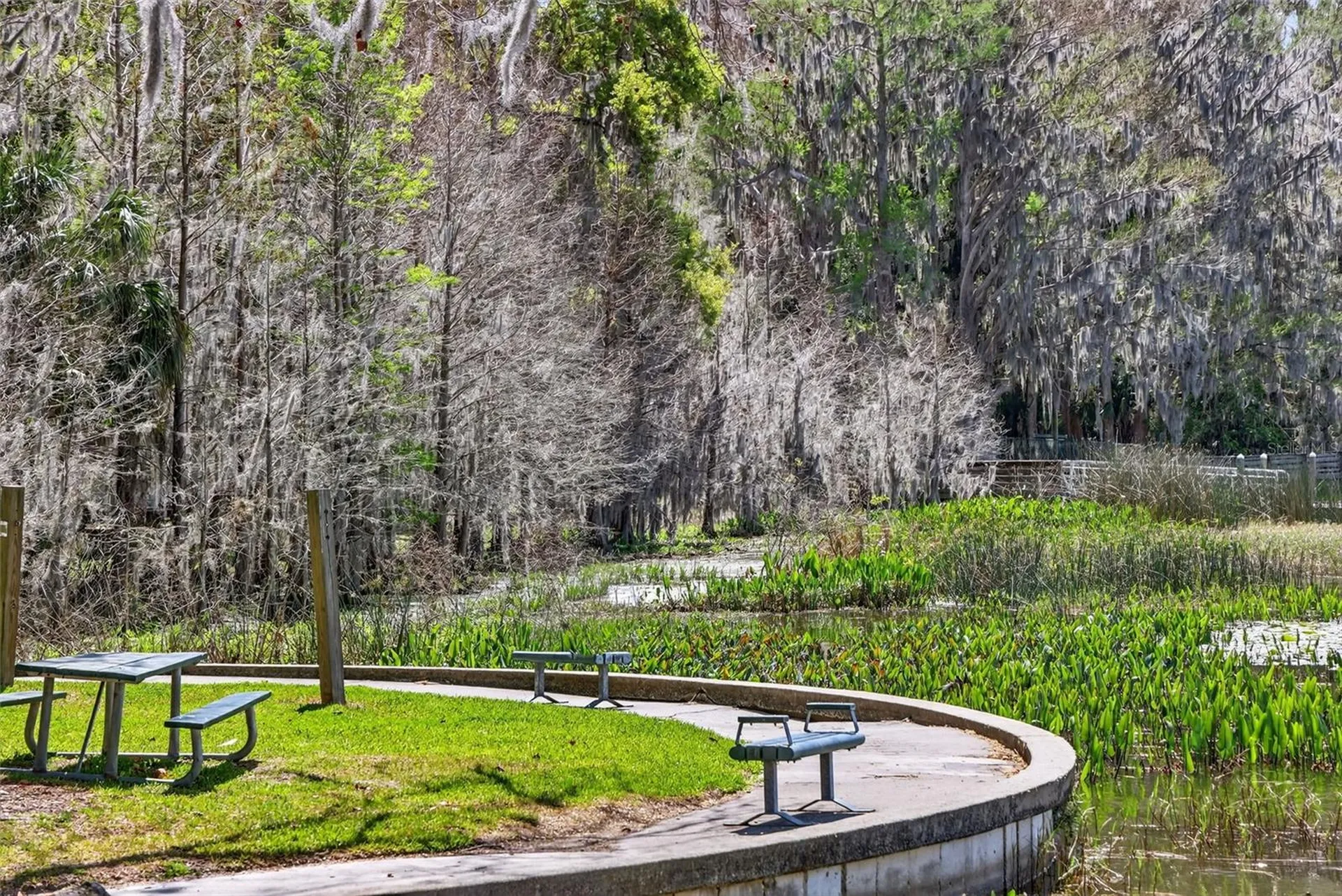1120 Gardner Lane Mount Dora FL 32757