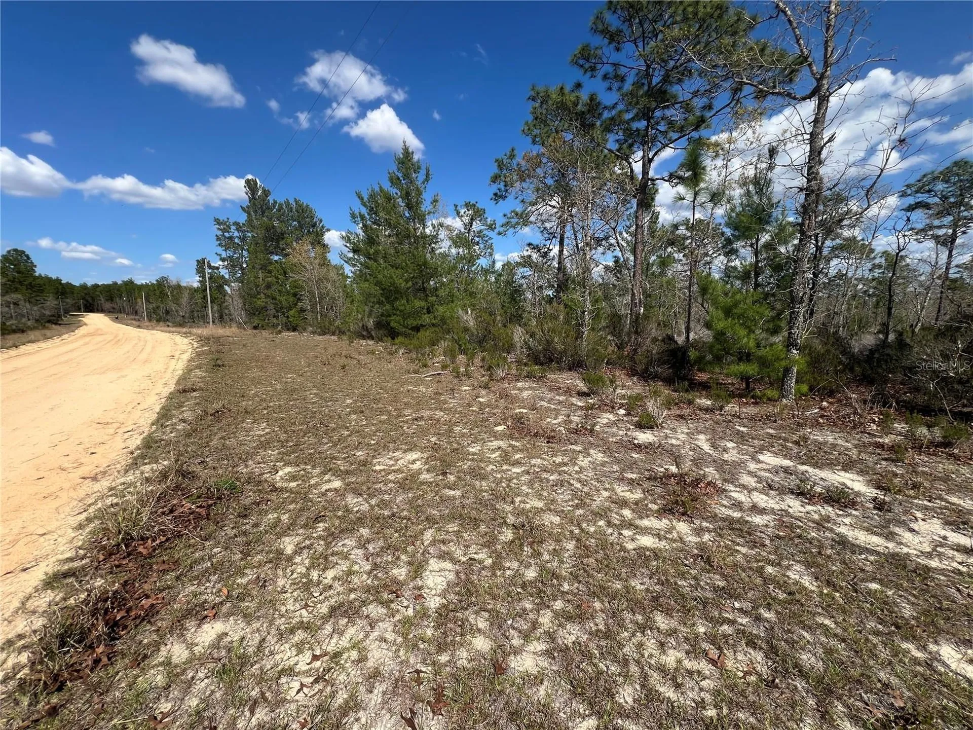 131 Quail Way Hawthorne FL 32640